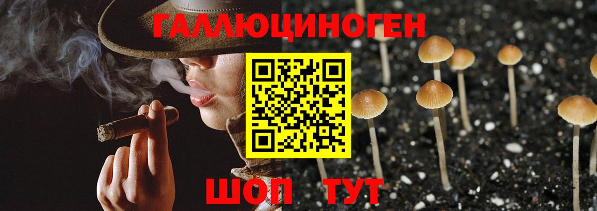 Галлюциногенные грибы прущие грибы Вязьма