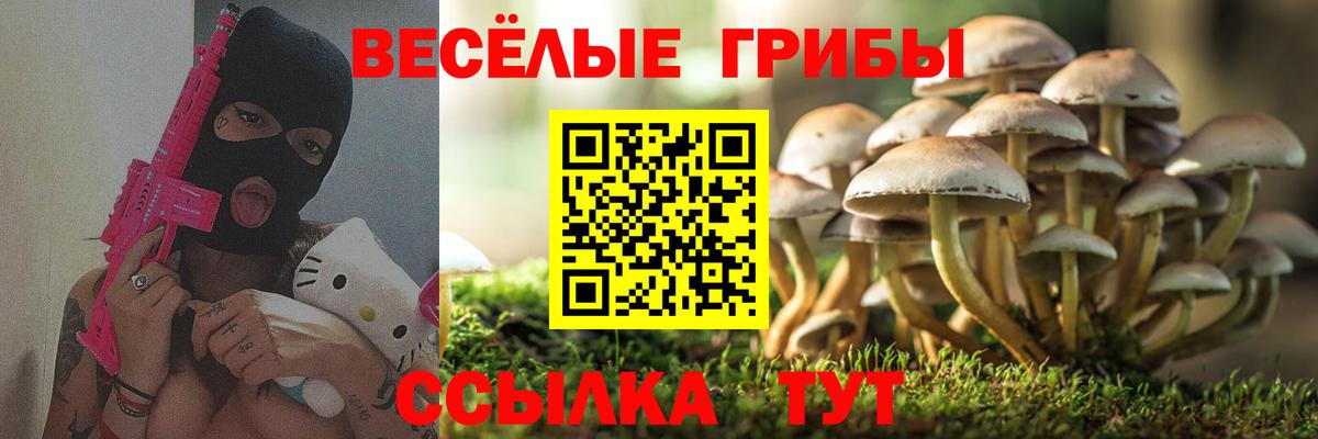 Вязьма  Псилоцибиновые грибы мицелий  Галлюциногенные грибы Psilocybine cubensis  Вход с VPN 